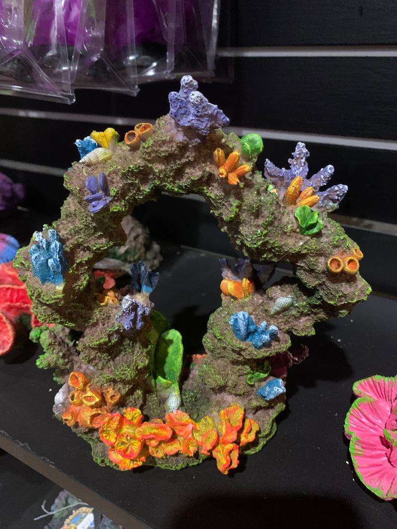 Reef Archway 7"x 4"x 8"