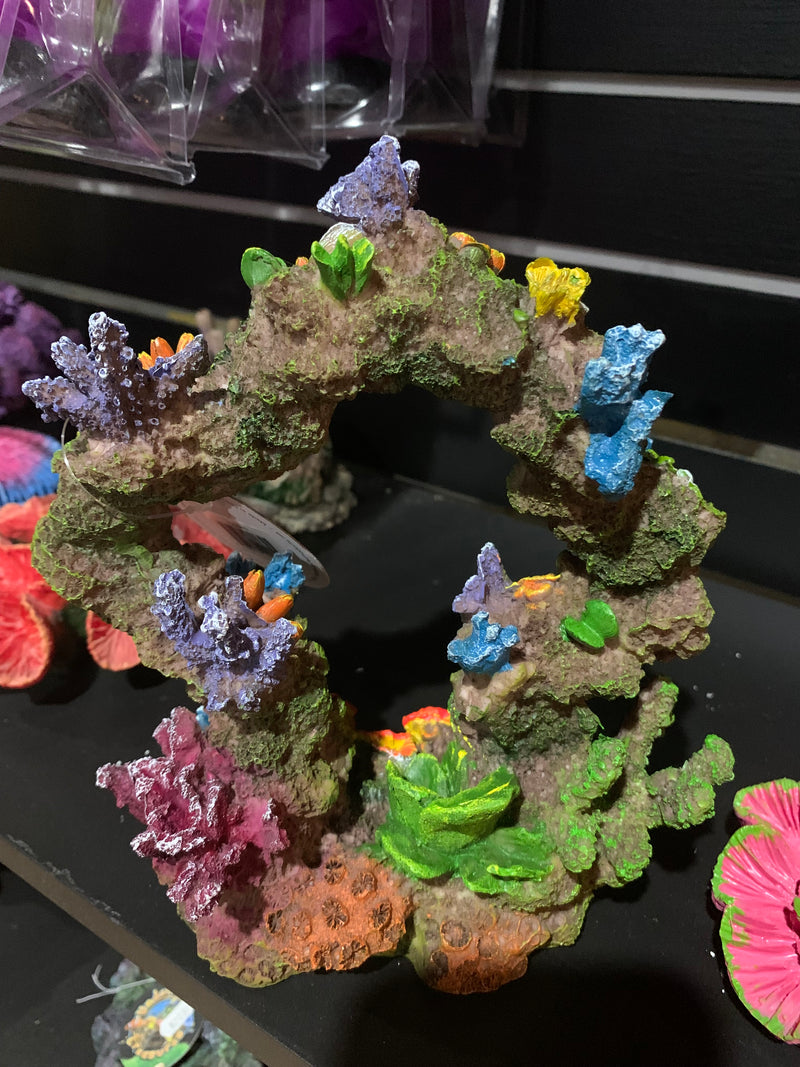 Reef Archway 7"x 4"x 8"