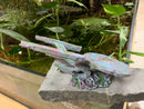 UT Sunken Space Ship Aquarium / Reptile ornament
