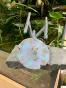 UT Sunken Space Ship Aquarium / Reptile ornament