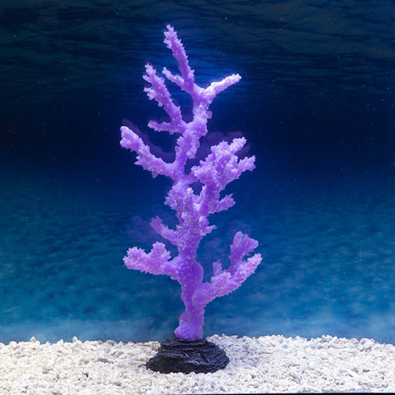 Sinularia Coral - Purple / LARGE SPORN