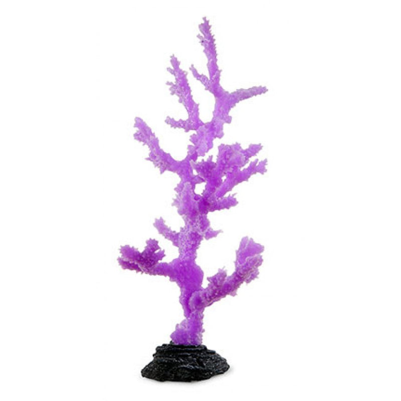 Sinularia Coral - Purple / LARGE SPORN