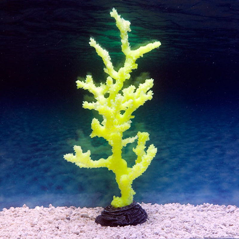 Sinularia Coral - Yellow / LARGE SPORN