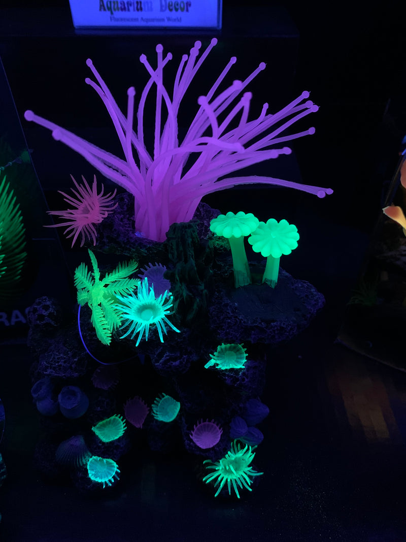 Caribbean Cave Reef  -  Aquarium Ornament - Glow