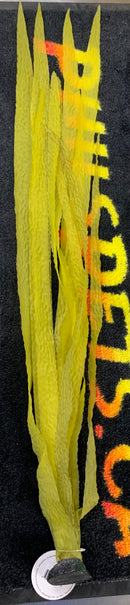 Giant Goldenrod Yellow Saltwater Kelp - 32"