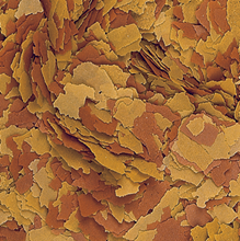 Tropical Vitality & Colour Flakes - 100g - Colour-Enhancing Food for All Fish