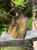 Avant Water Wood Aquarium / Reptile Driftwood Ornament small